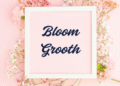 bloom growth​