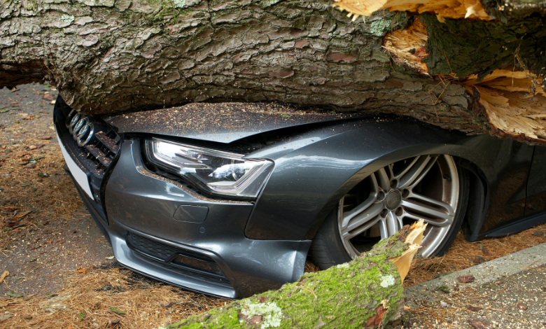 ava maitz car accident